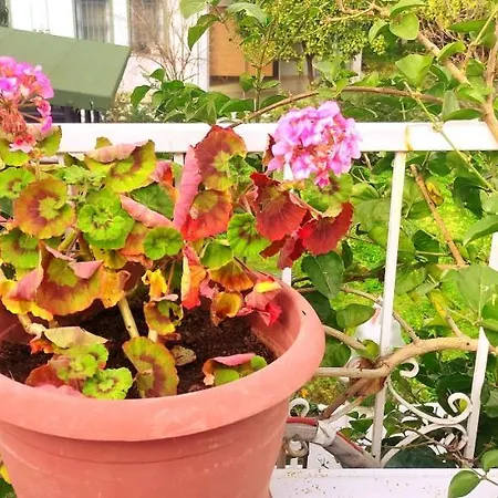 Central, Cozy, Spacy, Wide Terrace, Garden, 2br, Free Parking, Fast Wi-fi, 4ppl