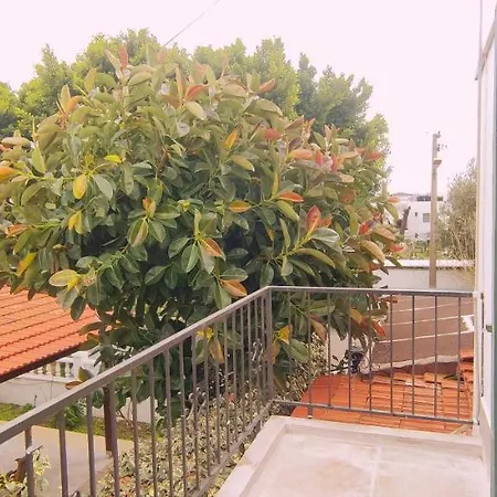 Central, Cozy, Spacy, Wide Terrace, Garden, 2br, Free Parking, Fast Wi-fi, 4ppl Bodrum
